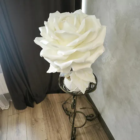 Apartment жк атмосфера *